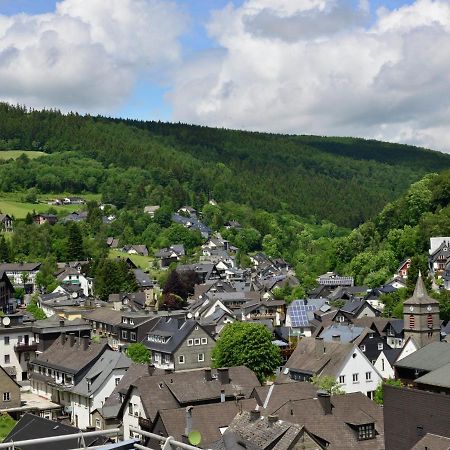 Beautiful Apartment In Willingen With Balcony Екстериор снимка